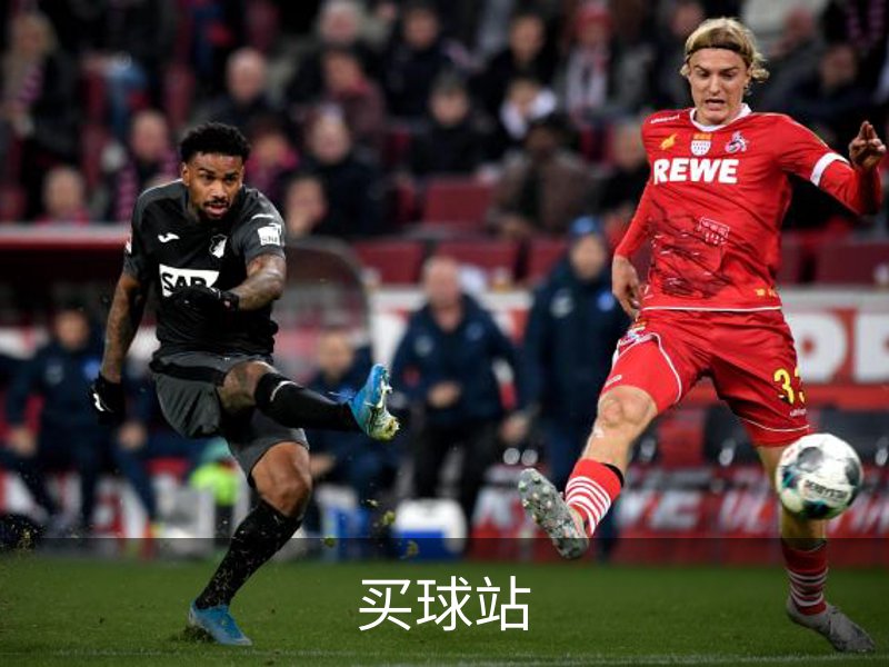 买球站简介